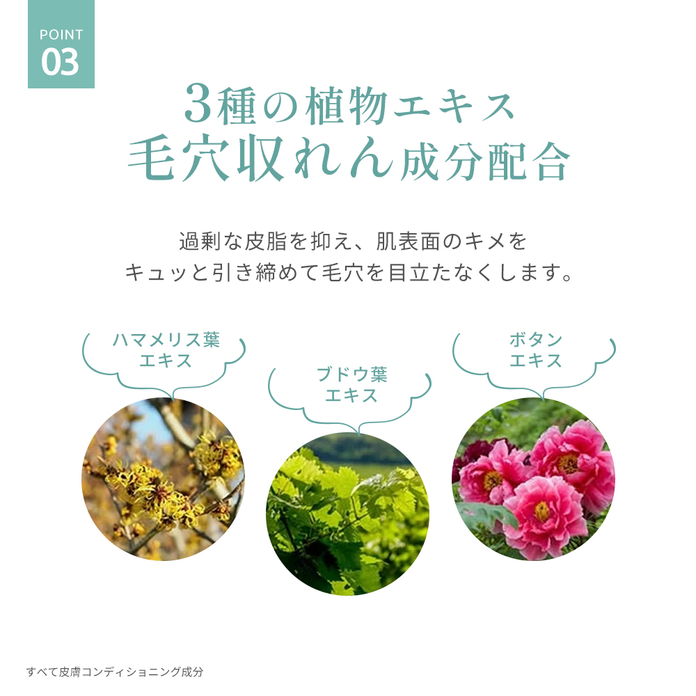 cleluw06.jpg