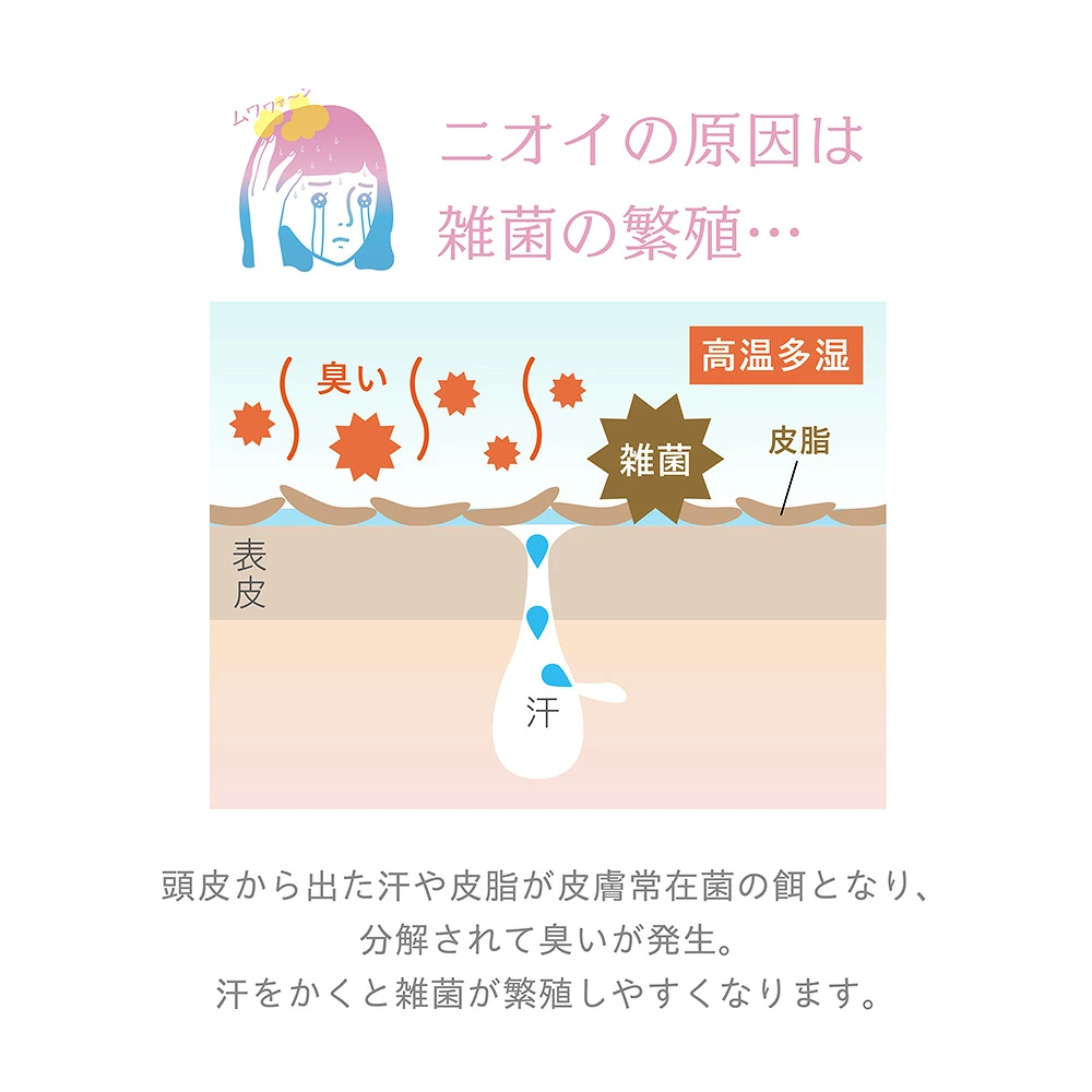 04.jpg